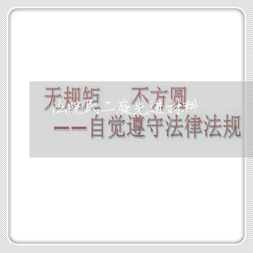 法院民二庭先进材料