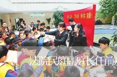 法院民庭副庭长任前发言