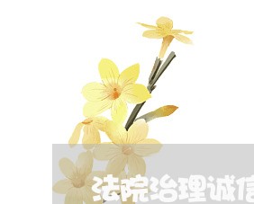 法院治理诚信环境 法院治理诚信环境