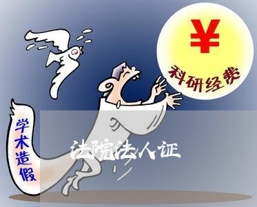 法院法人证