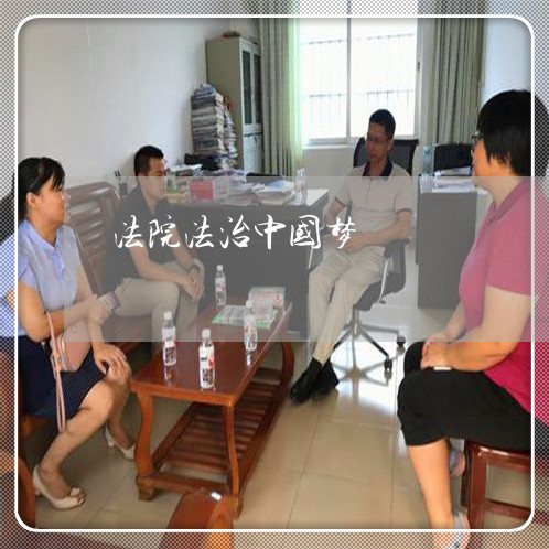 法院法治中国梦