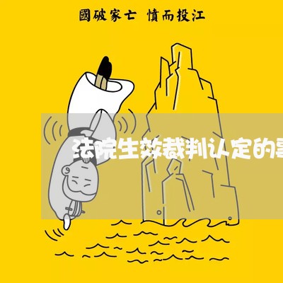 法院生效裁判认定的事实 法院生效裁判认定的事实