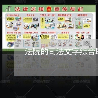 法院的司法文字综合职位