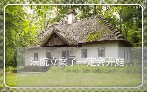法院立案了一定会开庭 法院立案了一定会开庭
