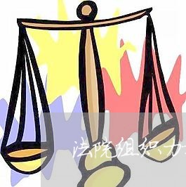 法院组织力提升工作会议
