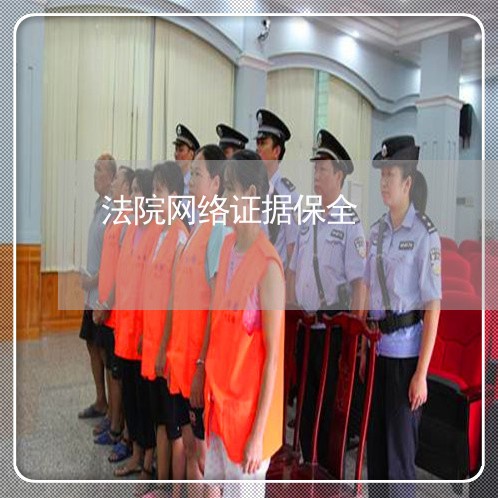 法院网络证据保全