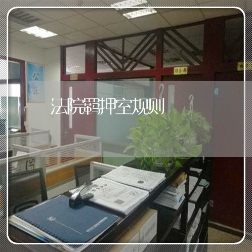 法院羁押室规则 法院羁押室规则