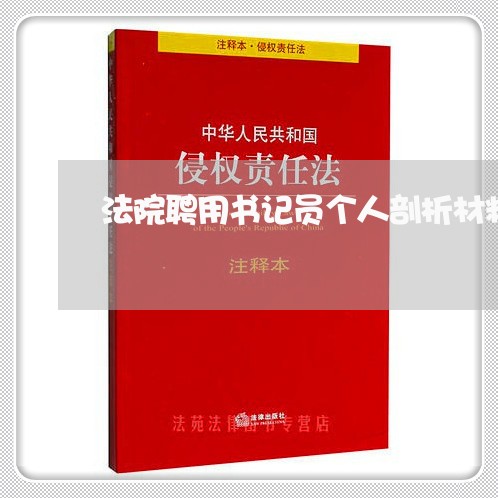 法院聘用书记员个人剖析材料