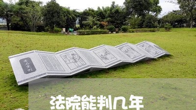 法院能判几年 法院能判几年