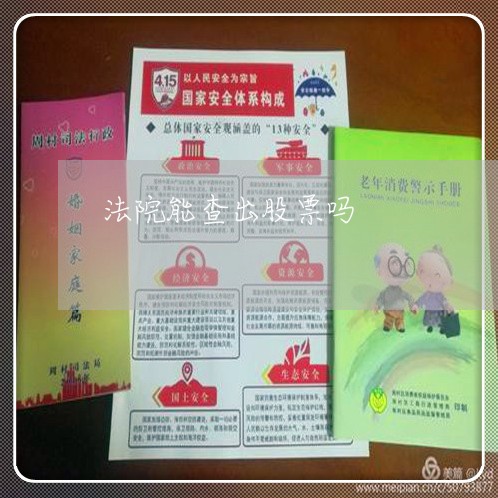 法院能查出股票吗