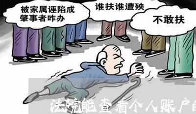 法院能查看个人账户的流水吗 法院能查看个人账户的流水吗