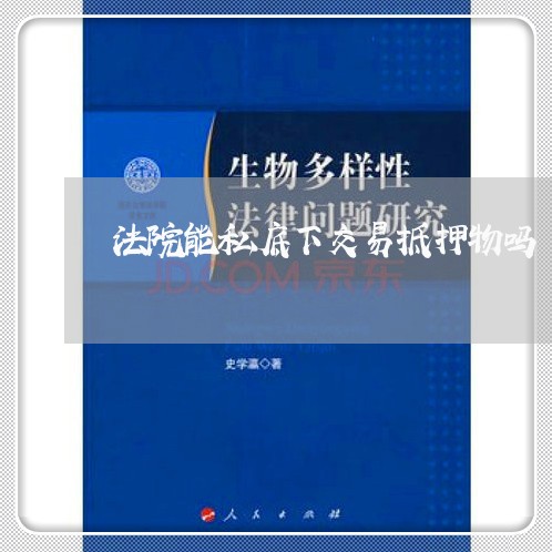法院能私底下交易抵押物吗