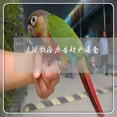 法院能给原告财产保全