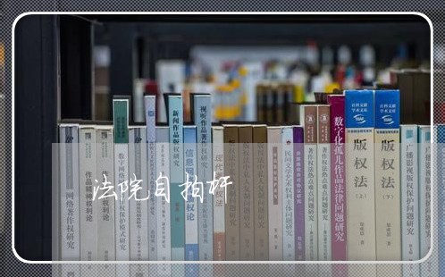 法院自拍杆