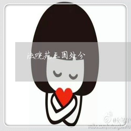 法院苑三国处分 法院苑三国处分