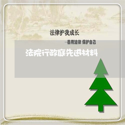 法院行政庭先进材料