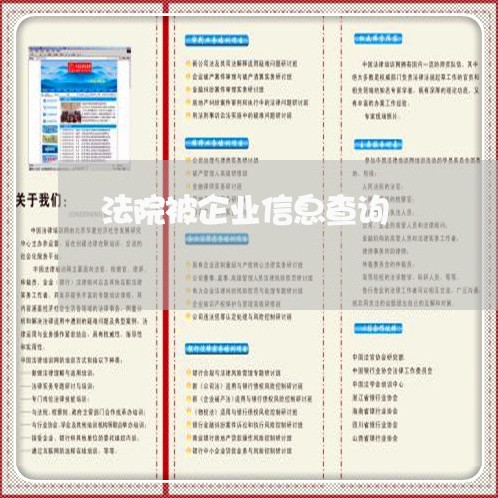 法院被企业信息查询