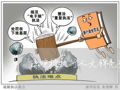 法院被执行人文锦亮查询