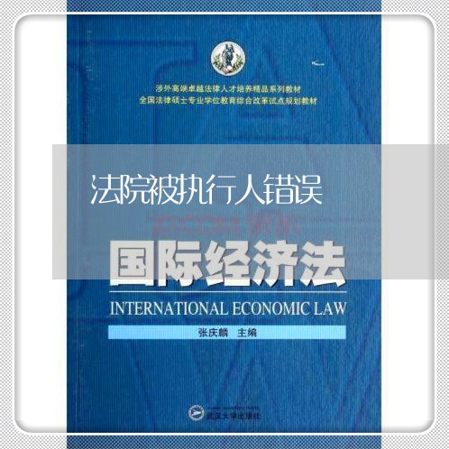 法院被执行人错误