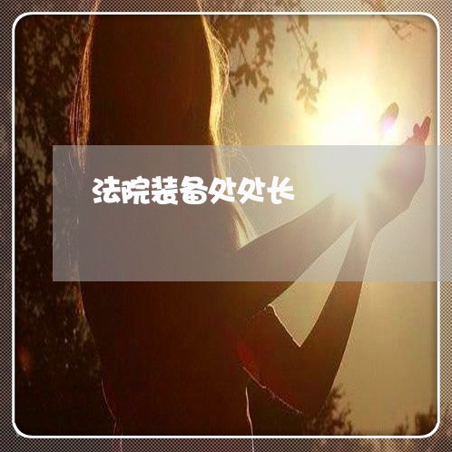 法院装备处处长