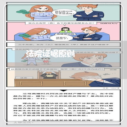法院证据原则 法院证据原则