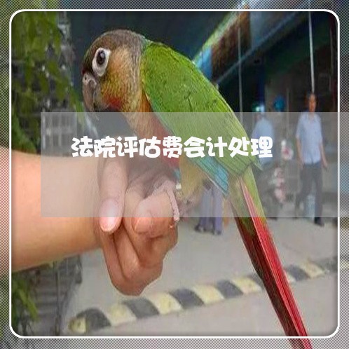 法院评估费会计处理 法院评估费会计处理