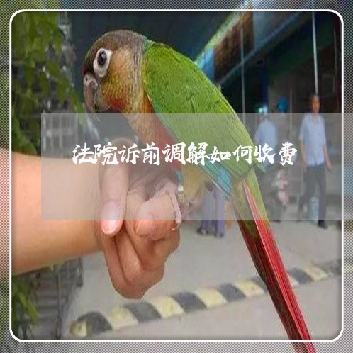法院诉前调解如何收费 法院诉前调解如何收费