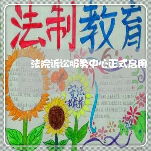 法院诉讼服务中心正式启用 法院诉讼服务中心正式启用