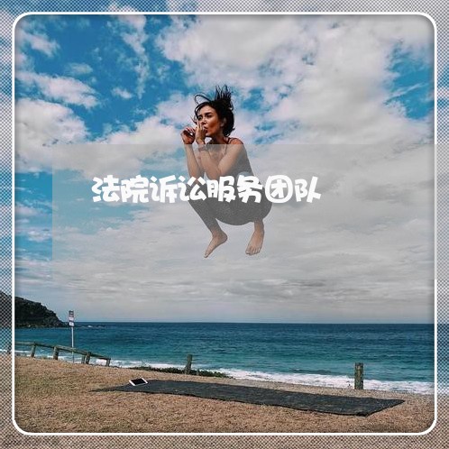 法院诉讼服务团队 法院诉讼服务团队