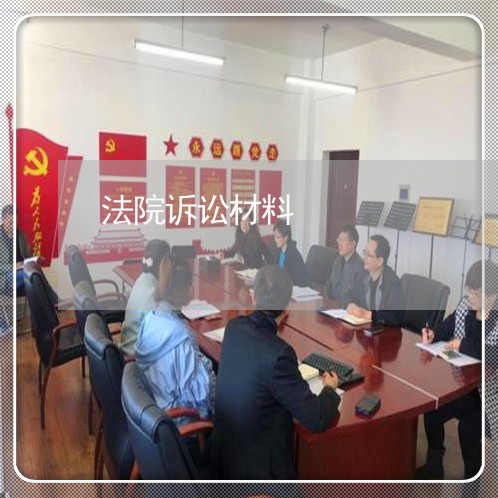 法院诉讼材料