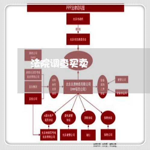 法院调查买卖