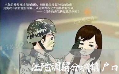 法院调解分城镇户口和农村户口吗