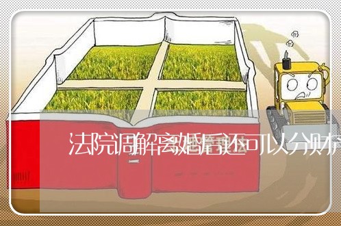 法院调解离婚后还可以分财产么 法院调解离婚后还可以分财产么