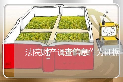 法院财产调查信息作为证据 法院财产调查信息作为证据