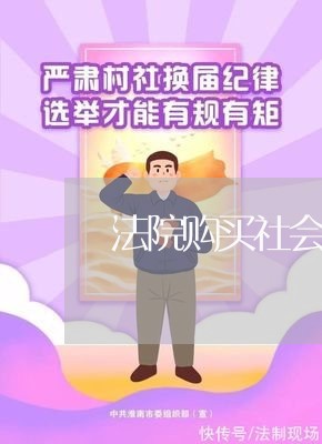 法院购买社会化服务理论 法院购买社会化服务理论