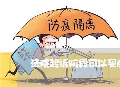 法院起诉阶段可以买房吗