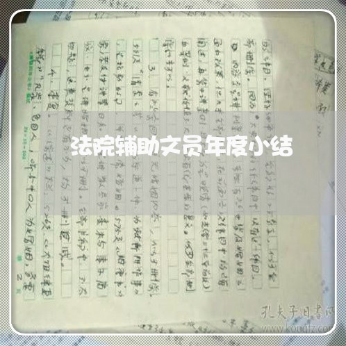 法院辅助文员年度小结