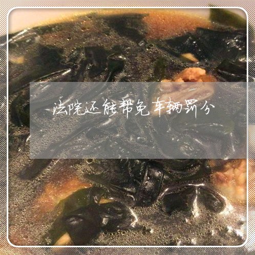 法院还能帮免车辆罚分 法院还能帮免车辆罚分