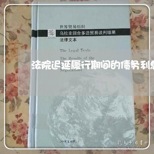 法院迟延履行期间的债务利息