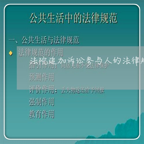 法院追加诉讼参与人的法律规定