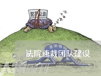 法院速裁团队建设 法院速裁团队建设