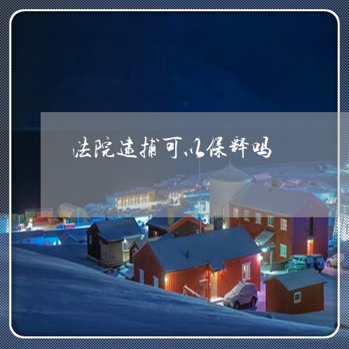 法院逮捕可以保释吗