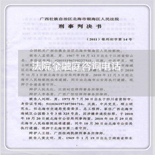 法院金融庭咨询电话