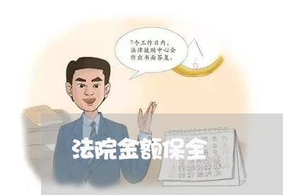 法院金额保全