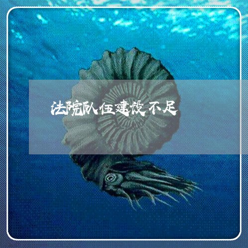 法院队伍建设不足 法院队伍建设不足