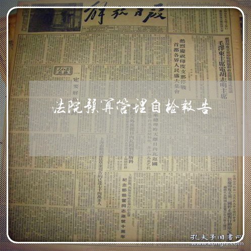 法院预算管理自检报告 法院预算管理自检报告