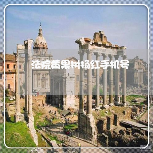 法院黄果树杨红手机号