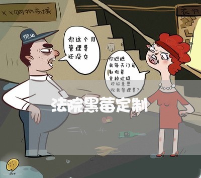 法院黑莓定制