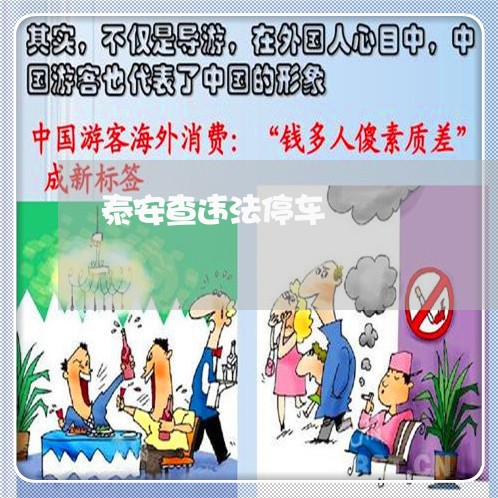 泰安查违法停车 泰安查违法停车