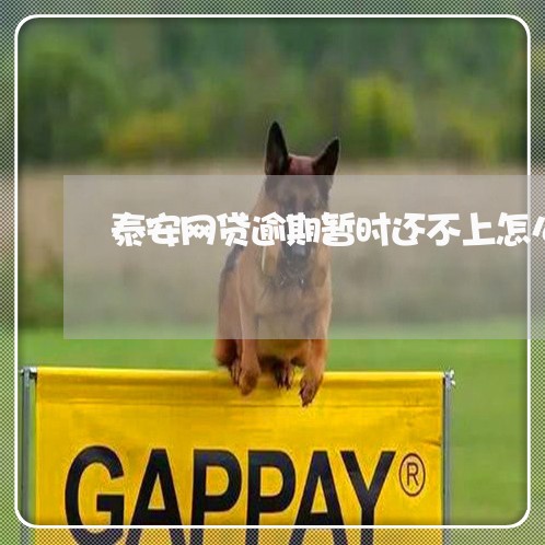 泰安网贷逾期暂时还不上怎么办 泰安网贷逾期暂时还不上怎么办